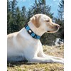 Joytale Airtag Dog Collar, Reflective Pet Collar with Waterproof AirTag