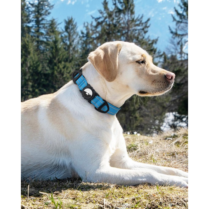 Joytale Airtag Dog Collar, Reflective Pet Collar with Waterproof AirTag