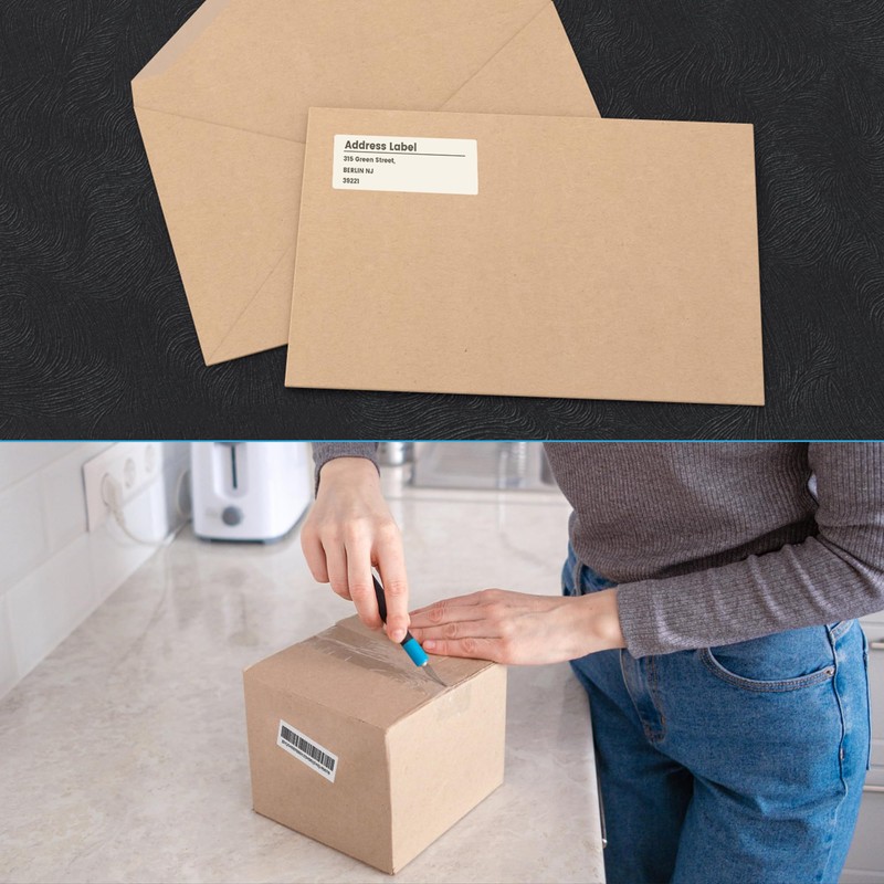 THEBLUETOUCH 30 Sheets Printable Address Labels, 1" x 2-5/8", 30