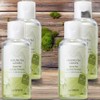 The Saem Lip Eye Remover Waterproof Remover Eye Makeup Cleanser Healing Tea Garden Green Tea Lip and Eye Remover 4pcs 150ml / 더샘 립아이리무버 워터프루프 리무버 아이 메이크업 클렌저 힐링 티 가든 그린티 립 앤 아이 리무버 4개 150ml