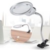 Large Lens Table Top Desk Lamp Lighted Magnifier Magnifying Glass
