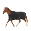 Equinavia Norse Lightweight 100g Fill Horse Rain Blanket | Waterproof