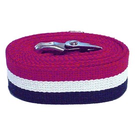 Kinsman Enterprises 80302 Gait Belt with Metal Buckle, 2" Width, 36" Length, Patriot