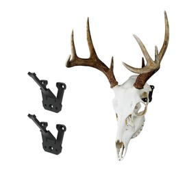 Prized Possessions Sturdy European Mount Skull Hanger. Low Profile. USA Based Company. Secure Your Euro Mount with Peace of Mind! Show Off Your Deer Skull Mount! (Modular Hook, 2, Count)