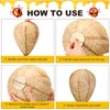 Qualirey 15 Pcs Retisee Wasp Nest Decoy Wasp Deterrent Fake