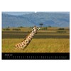 Giraffes - Lovely Giants of the African Savannah (Wall Calendar