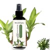 MoonSpry Brazilian Lucky Wood Plant Food, Lucky Bamboo Liquid Fertilizer，Brazilian Wood Indoor houseplant Fertilizer，Bamboo Indoor Plant Food，Fertilizantes de brasileña y árbol de la Suerte 1pc*100ml