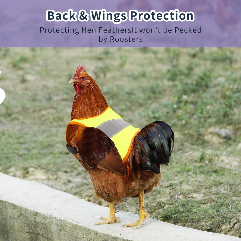 Vehipa 6 Pcs Reflective Chicken Harness Hen Saddle Apron Adjustable