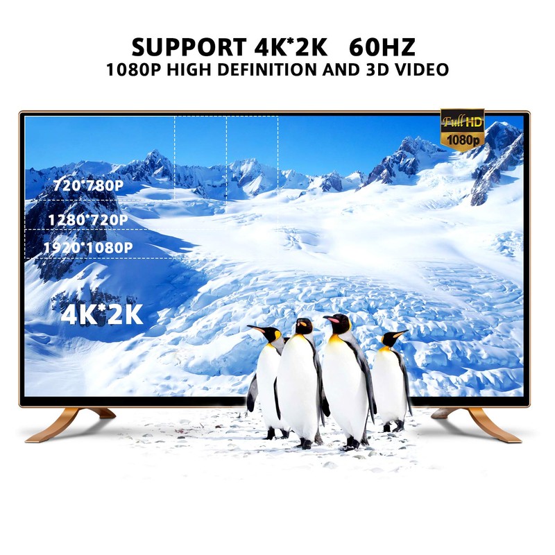 Techrum Mini HDMI Adapter Mini HDMI to HDMI Cable 4K