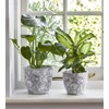 Ivyline Planter, Ceramic, Grey, 13cm
