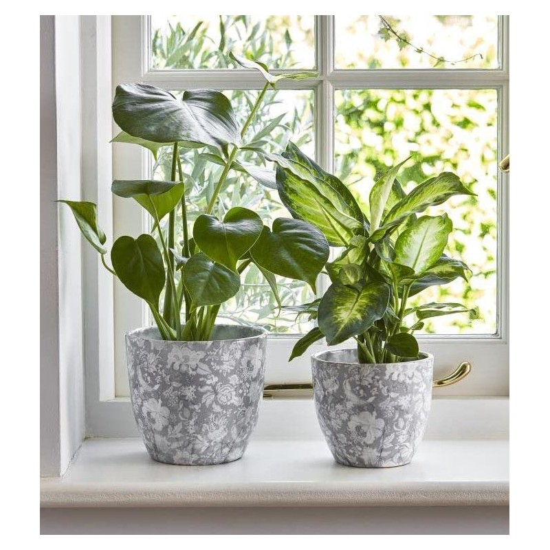 Ivyline Planter, Ceramic, Grey, 13cm