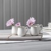 WM Bartleet & Sons 1750 TSET20 Bellied Creamer Jug Set,