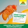 Neudorff Lockstoff für Permanent FruchtfliegenFalle – Nachfüllpack zur zuverlässigen Bekämpfung