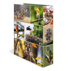 HERMA Lever Arch File Animal Worlds with Home Birds Motif, A4, 70 mm Spine, with Inner Print, 1 Folder