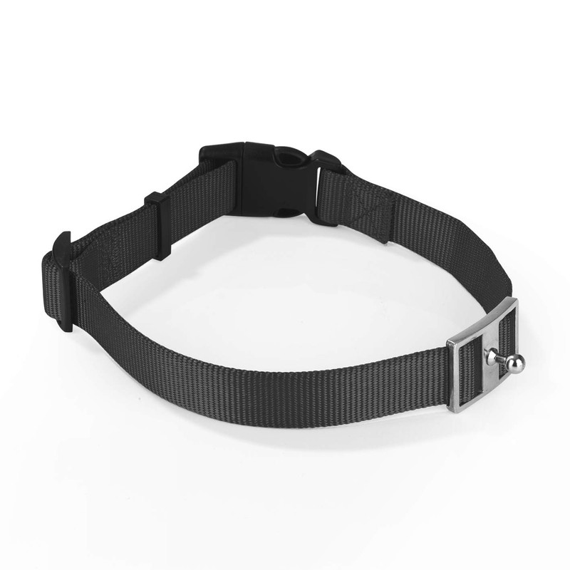 GoLeyGo Dog Lead with Collar, Black, Size L, Pack of