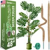 2 Pack 48 Inch Bendable Moss Pole Monstera Plant Support