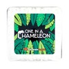 at Brain Toys One in a Chameleon Wicker Pot 6