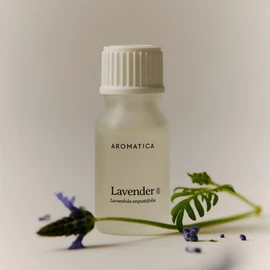 AROMATICA Essential Oil 10ml - Teatree