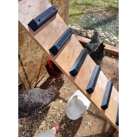 SG Design Chicken Coop Ramp Ladder Steps (3 Included) Easy Install