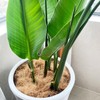 Natural Organic Coconut Husk Silk, Pure Coconut Shell Fiber Orchid