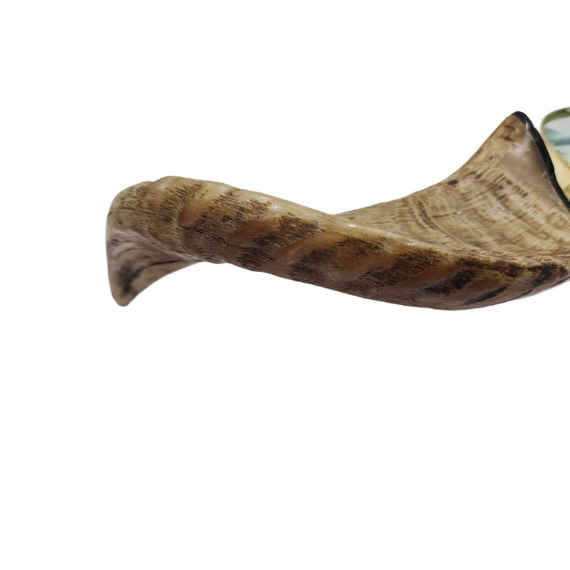 Nautical Solid Brass Handcraft Magnifying Glass with Buffalo Horn Handle