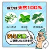 Super Invigorating! Super Soooo-Too Guy - Arctic Mint, Set of