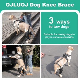 OJLUOJ Dog Hip Brace Support for Muscle Rehabilitation with Traction Rope, Four Limbs Wear Adjustable Design Relieve Joint Pain M Size