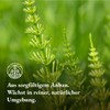 Horsetail tea (300g) MonteNativo – Horsetail - 100% pure and