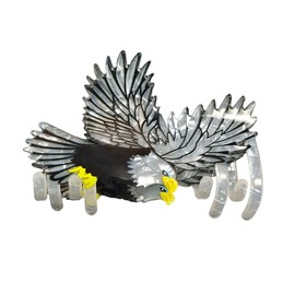 Novelty Eagle Acrylic Claw Clip - Funny Fashion Hair Clip