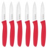 targzier Paring Knives with Straight Edge,Spear Point,Stainless Steel Paring Knife