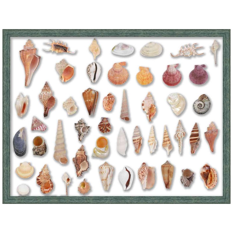 17x12 Blue Shadowbox Frame - Shadow Box Frame Interior Size