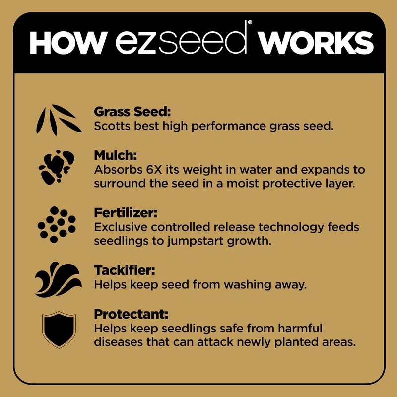 Scotts EZ Seed Patch & Repair Tall Fescue Lawns Combination