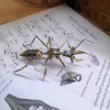 MindXplore 3D Insect Brass Puzzle, Steampunk Little Ant Model, Puzzle