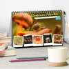 Wundersame Pilzwelten (Desk Calendar 2025 DIN A5 Landscape), CALVENDO Monthly