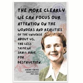 The More Clearly We Can Focus Our Attention On The Wonders and Realities Classroom Poster - Rachel Carson - 12 x 18 Inch - Classroom Decor - Classroom Must Haves - Back To School Decor - CPS0712
