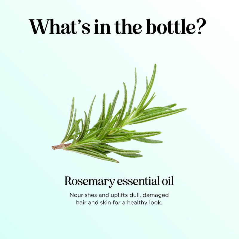 Pure Rosemary Oil for Hair Care - Volumizing Aromatherapy Rosemary