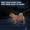 PoyPet Dog Harness and Leash Combo, Escape Proof No Pull