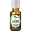 Healing Solutions 30ml Oils - Eucalyptus Essential Oil - 1
