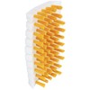 Brosse Brush Craftsman Series Vegetable Washing Brush