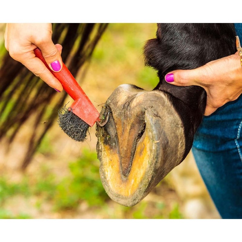 Hoof Pick with Brush,red - A25706