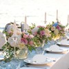 Resurhang 100 Set Oyster Place Card Beach Wedding Place Card