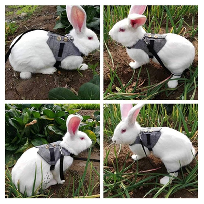 Rabbit Soft Breathable Harness with Lead, Pet Rabbit, Small Animal