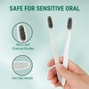NEWLAX Eco Friendly Toothbrush, Razor, Comb Set (14 Count), Biodegradable