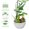 Plant Crutch Support for Drooping Stems or Branches | 4