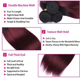 Bafamiya Human Hair Bundles 10 12 14 Inch Ombre Burgundy 99J Straight Bundles Human Hair 100% Unprocessed Soft Sewn In with Double Weft for Black Women