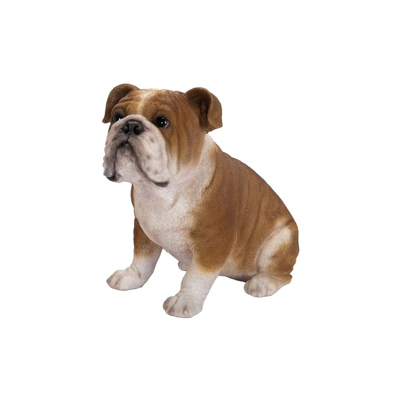 Vivid Arts - Bulldog - XRL-BDOG-D