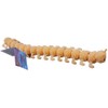 Keycraft Stretchy Noodle Animal Toy