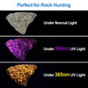 Vansky X7 Pro 365nm UV Light Blacklight Flashlights: LED Black