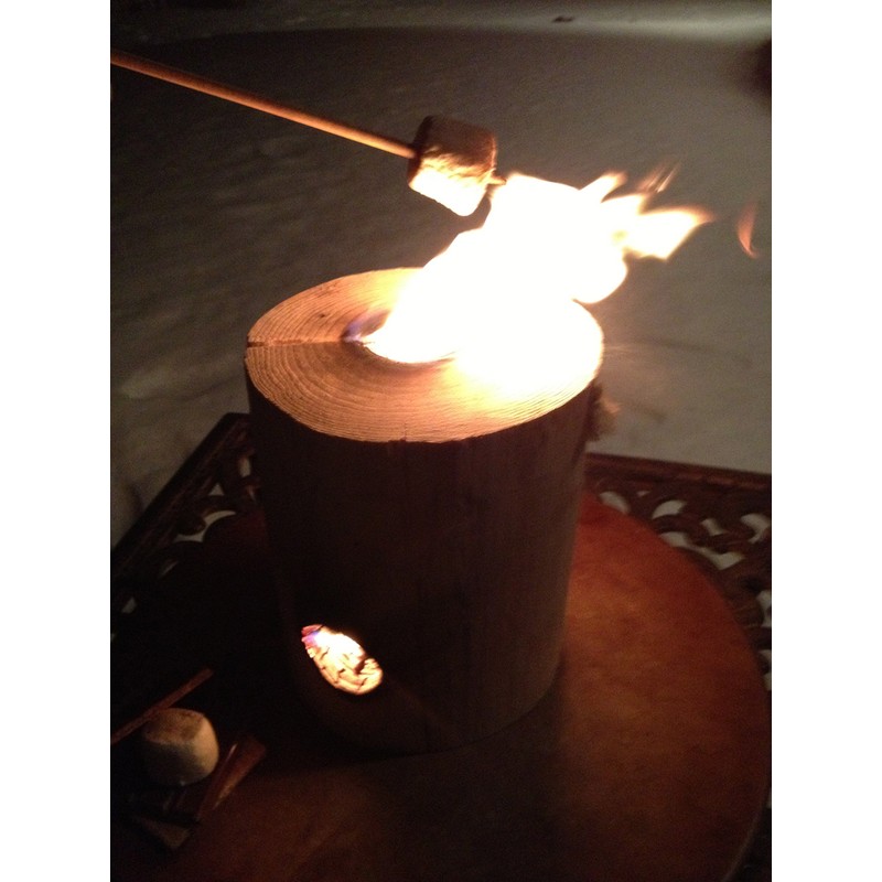 One Log Fire Marshmallow Roasting Sticks, Smores Sticks, Sticks For