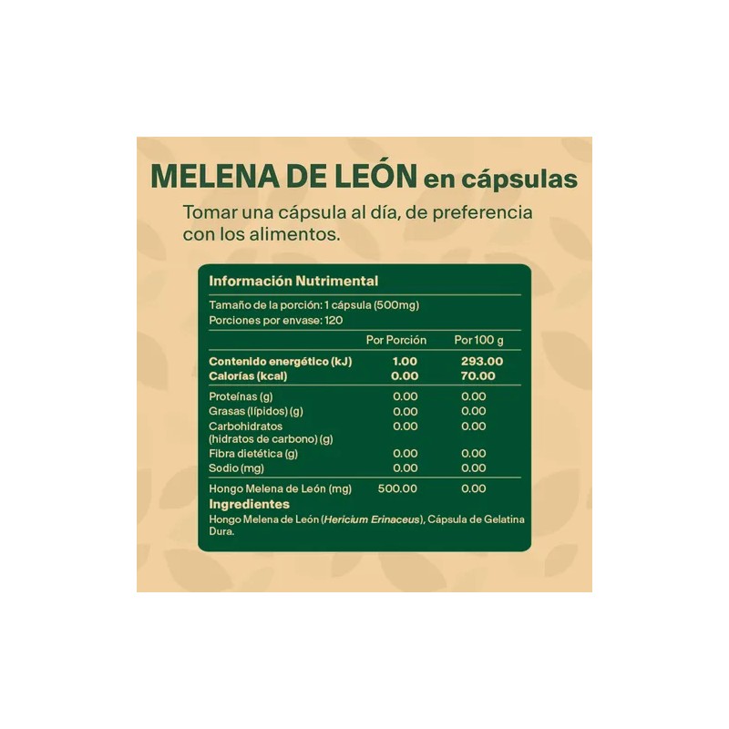 Hongo Melena De Leon 60 Capsulas Suplemento Nootropico Cereb